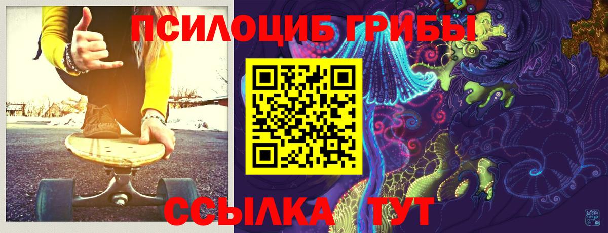 Галлюциногенные грибы прущие грибы Усть-Джегута
