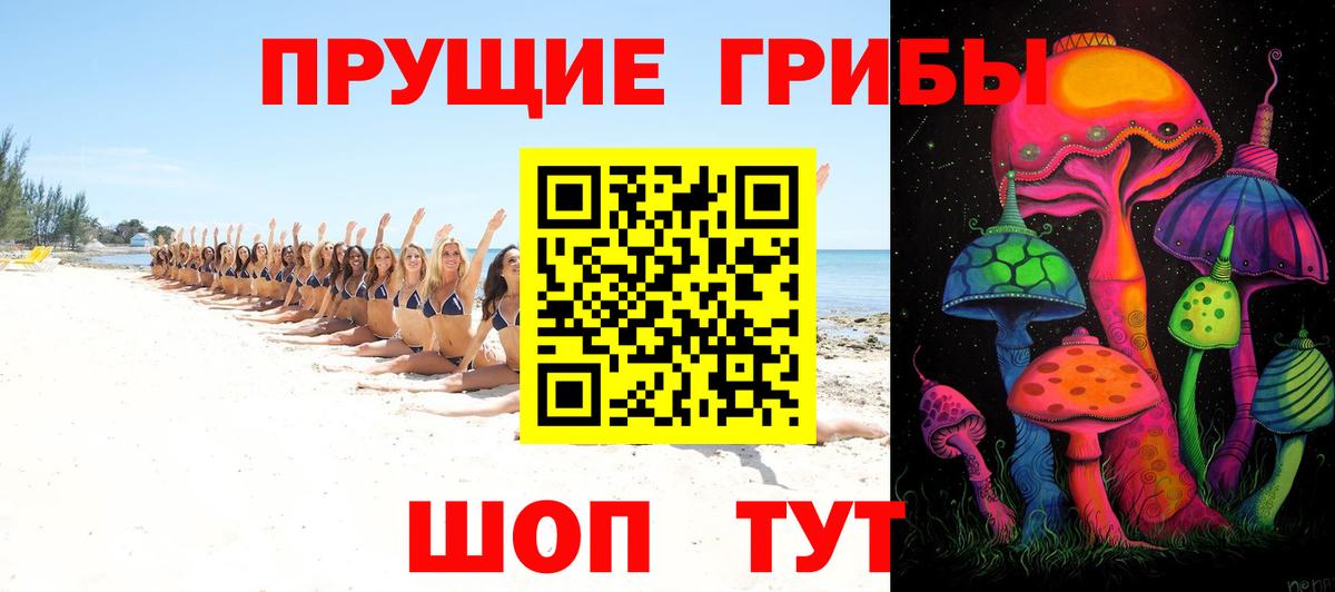 Усть-Джегута  Галлюциногенные грибы прущие грибы  Вход с VPN  сколько стоит  Галлюциногенные грибы Cubensis 